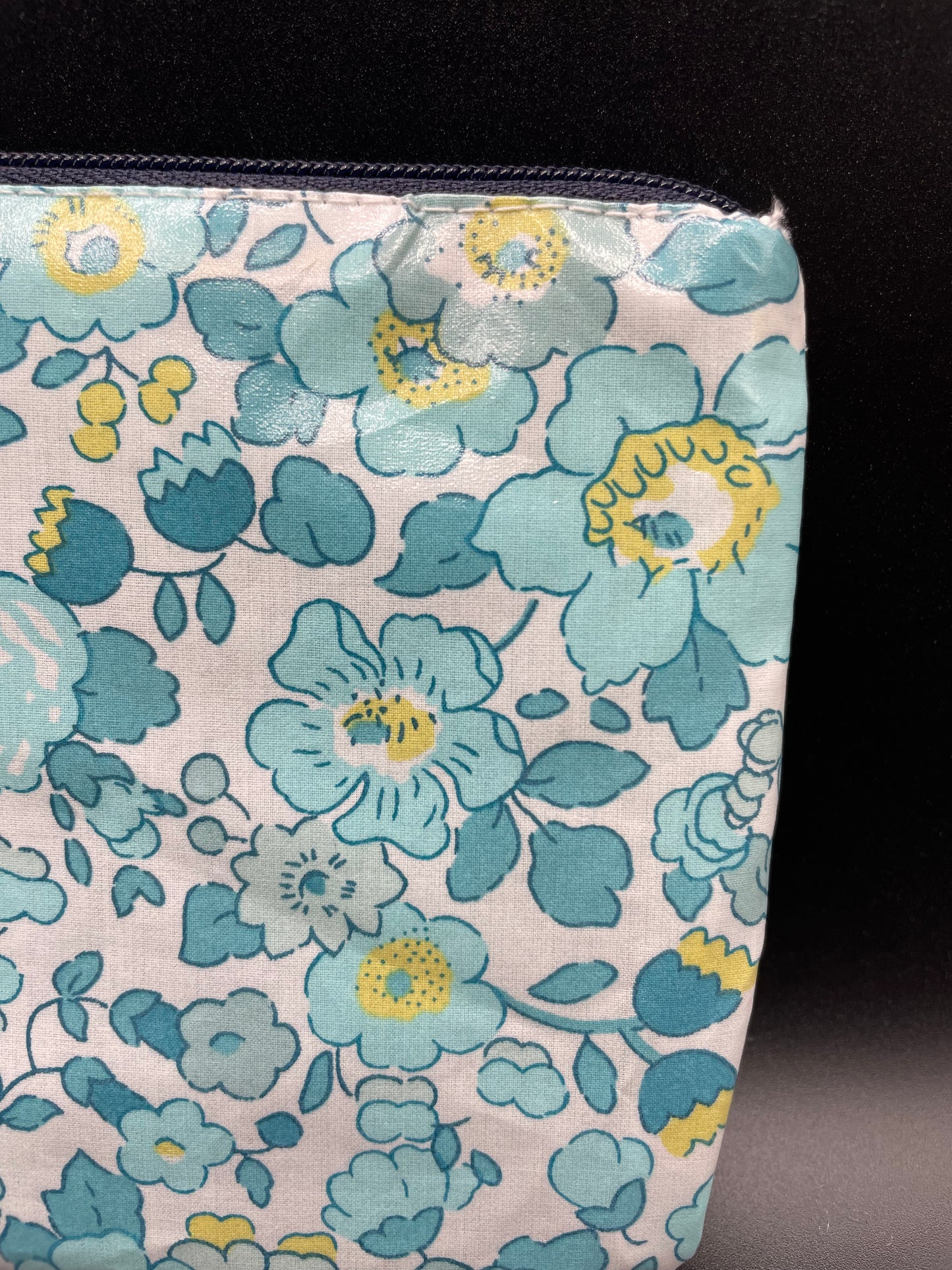 Monedero plastificado Betsy Mint